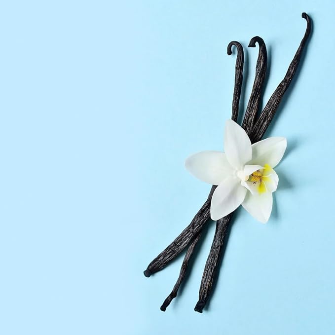 VINEVIDA [128 Fl Oz] Scent NO. 1113 Fragrance Oil for Cold Air Diffusers, Aromatic Notes of Vanilla, Lavender & Smokey Essential Oils for Diffuser Oil Refill & Air Freshener Spray