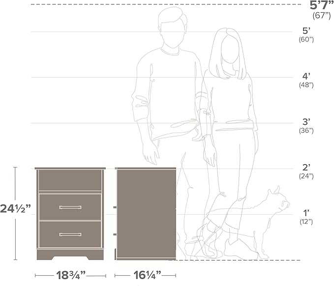 Prepac Rustic Ridge Farmhouse Nightstand Bedside Table, Black Nightstand for Bedroom, End Table with 2 Drawers and Open Shelf 16.25"D x 18.75"W x 24.5"H