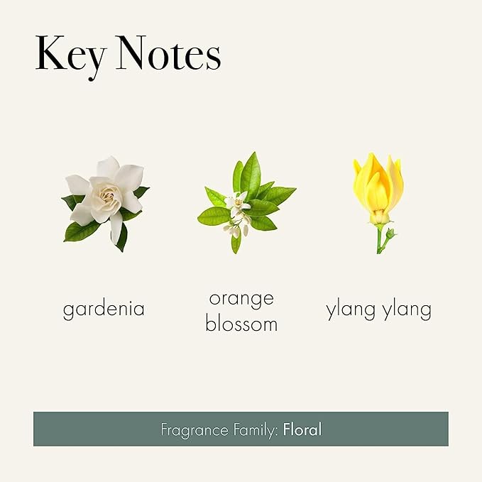 LAFCO New York Classic Candle, Fresh Cut Gardenia - Pack of 2, 6.5 oz - 50-Hour Burn Time - Reusable, Hand Blown Glass Vessel - Made in The USA