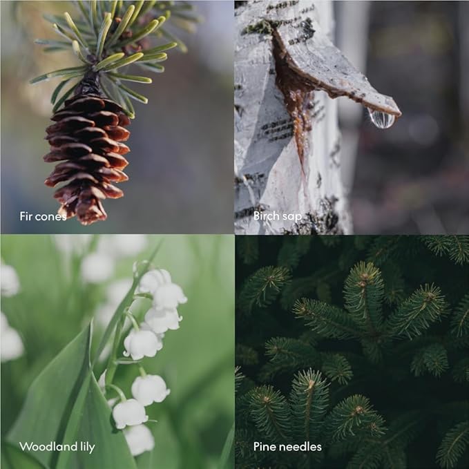 Skandinavisk Skog 'Forest' Scented Candle with 2 Wicks, Special Edition, Scent Notes: Pine Needles and Fir Cones, Birch Sap and Lily of The Valley, Vegan Formula, 12.3 oz.