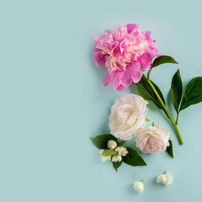 VINEVIDA [32 Fl Oz] Scent NO. 1101 Fragrance Oil for Cold Air Diffusers, Aromatic Notes of Amber Peony Starfruit, Essential Oils for Diffuser Oil Refill & Air Freshener Room Spray