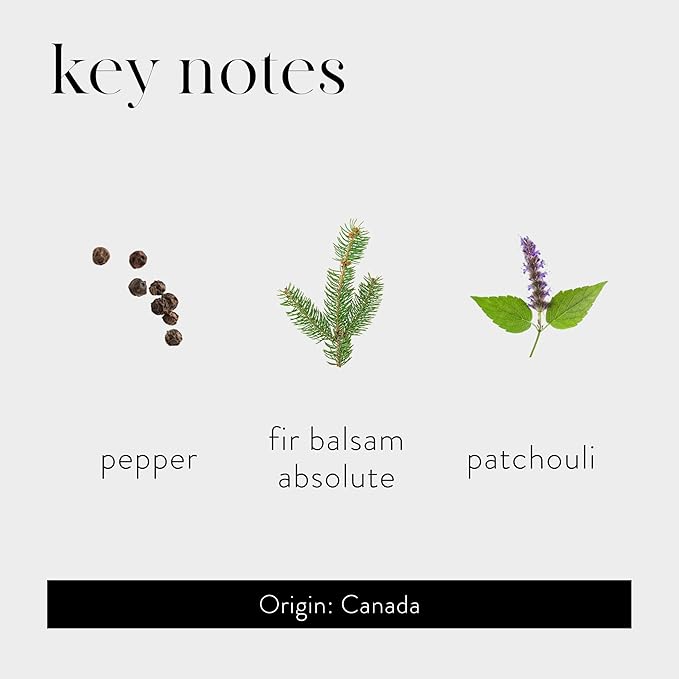 LAFCO New York Absolute Collection Reed Diffuser, Balsam Black Pepper - 15 oz - Up to 1 Year Fragrance Life - Reusable, Hand Blown Glass Vessel - Nylon Reeds - Made in The USA