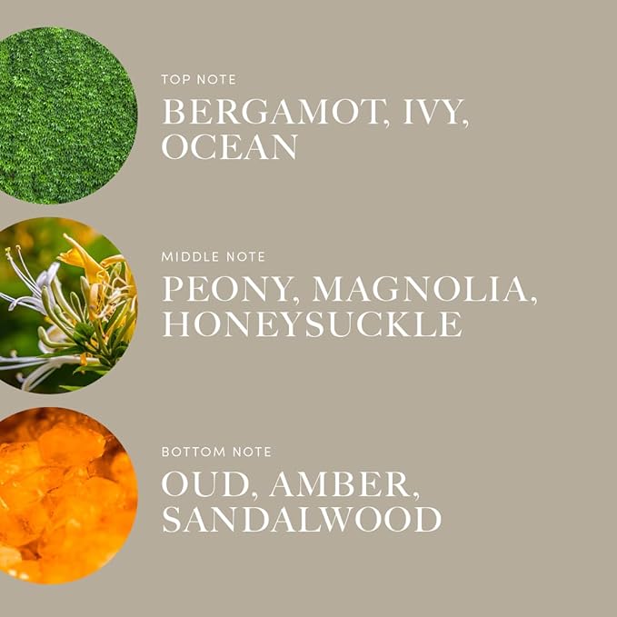 Aroma360 | Disney Under the Sea Fragrance Oil Blend | The Little Mermaid | Princess Ariel | Luxury Essential Oil Diffuser | Aromatherapy Scent Diffuser Oil | Bergamot, Ivy and Ocean 16.9 fl oz, 500 mL