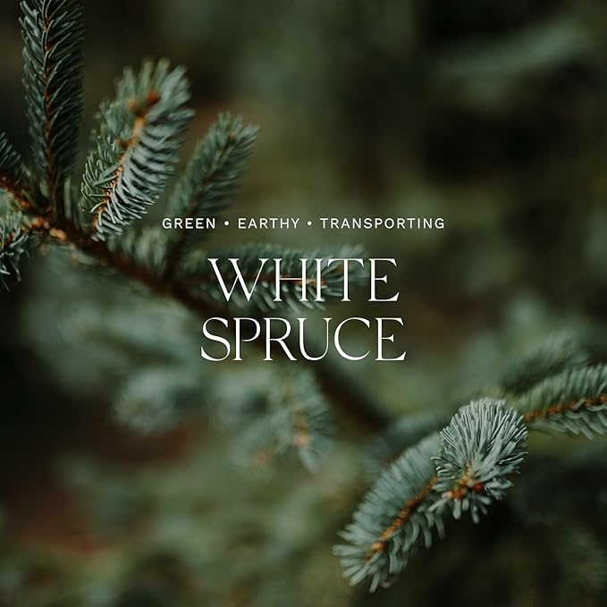 Antica Farmacista Reed Diffuser & Candle - Gift Set Collection for Her - White Spruce, 320ml