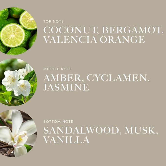 Aroma360 | Disney Down in New Orleans Fragrance Oil Blend | The Princess and The Frog | Princess Tiana | Aromatherapy Scent Diffuser Oil | Coconut Bergamot Valencia Orange 1.7 fl oz 50mL