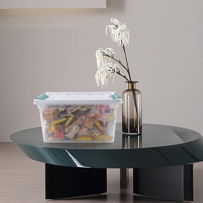 4-pack 20 Quarts Clear Boxes with Lids, Plastic Latch Storage Totes