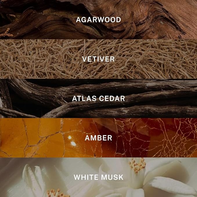 Hotel Lobby Signature Reed Diffuser – Long Lasting – Agarwood, Vetiver & Atlas Cedar – Refillable Glass Vessel – 9 Diffuser Reeds – Made in USA – 5.0 fl oz (150ml), 10 ¾” H