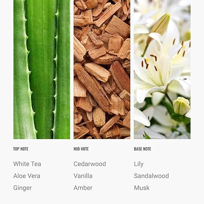 Dream On Diffuser Oil 120ml – Hotel Collection Essential Oils for Diffuser – White Tea, Vanilla & Cedarwood – Luxury Home Scent – Hotel Inspired Aromatherapy Oil for Home & Office