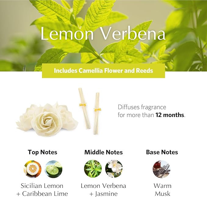 AGRARIA AirEssence Flower and Reed Diffuser Set, Handmade Sola Flower Botanical Home Fragrance Set, Scented Oil Reed Diffuser Gift for All Occasions