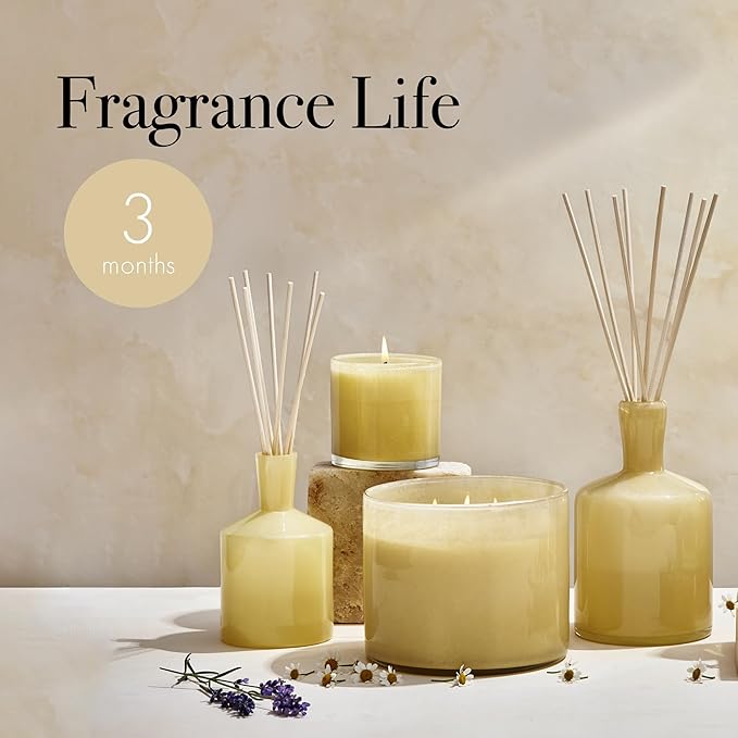 LAFCO New York Classic Reed Diffuser, Chamomile Lavender - 6 oz, Pack of 2 - Up to 3 Months Fragrance Life - Reusable, Hand Blown Glass Vessel - Natural Wood Reeds - Made in The USA