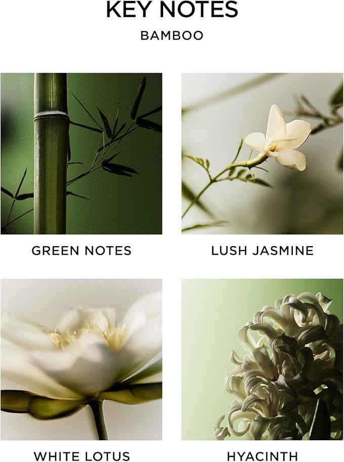 NEST New York Reed Diffuser, Bamboo - 5.9 fl oz - Fragrance for Up to 90 Days - Reusable, Refillable Glass Holder - Includes 8 All-Natural Reed Sticks - Flame Free