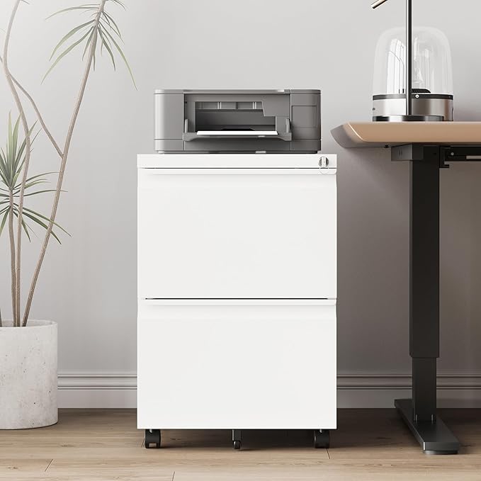 2 Drawer File Cabinet，Mobile Filing Cabinet with Lock and Wheels，Fully Assembled Metal Under Desk File Cabinets for A4/Letter/Legal Size（White