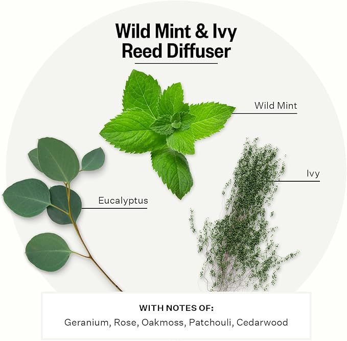 Apotheke Luxury Scented Reed Diffuser for Home, Wild Mint & Ivy - 6.7 Fl Oz Essential Oil Aromatherapy - 10 Rattan Scent Sticks Room Diffuser - Long-Lasting Fragrance for Bedroom, Home, Bathroom