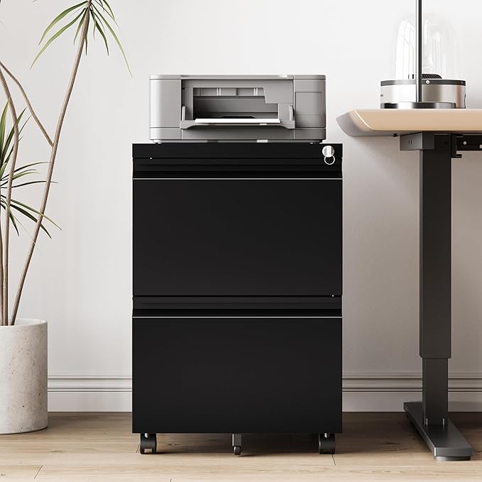 2 Drawer File Cabinet，Mobile Filing Cabinet with Lock and Wheels，Un-Assembled Metal Under Desk File Cabinets for A4/Letter/Legal Size（Black