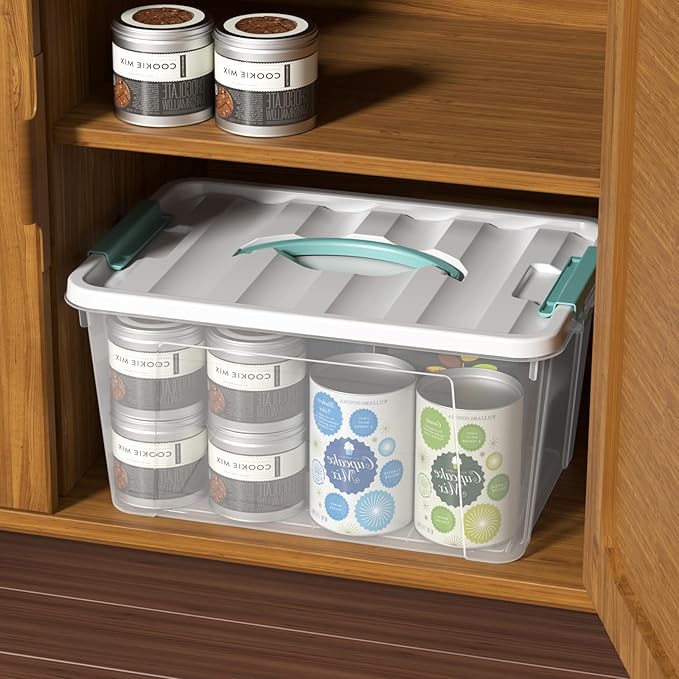 Readsky 4 Packs Clear Storage Latch Box Plastic, Plastics Storage Bins, 14 Quart