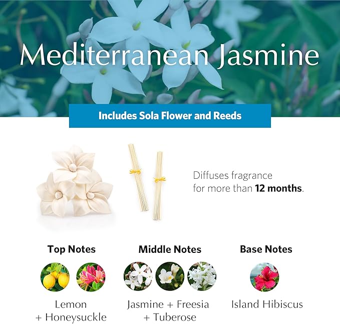 AGRARIA AirEssence Flower and Reed Diffuser Set, Handmade Sola Flower Botanical Home Fragrance Set, Scented Oil Reed Diffuser Gift for All Occasions