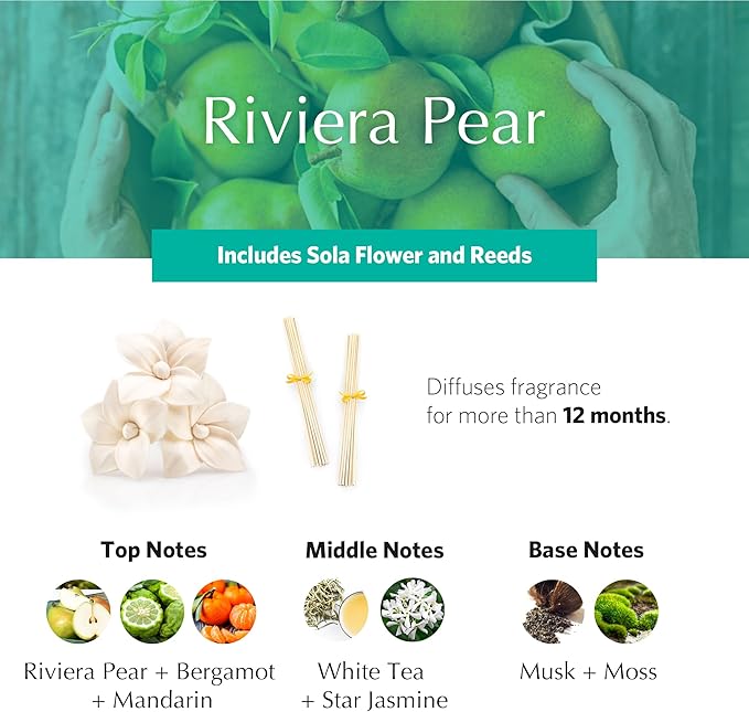 AGRARIA AirEssence Flower and Reed Diffuser Set, Handmade Sola Flower Botanical Home Fragrance Set, Scented Oil Reed Diffuser Gift for All Occasions