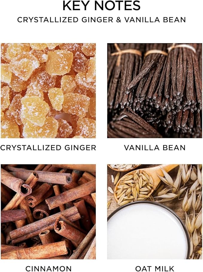 NEST New York Scented Classic Candle, Crystallized Ginger & Vanilla Bean - 8.1 oz - Up to 60-Hour Burn Time - Reusable Glass Vessel