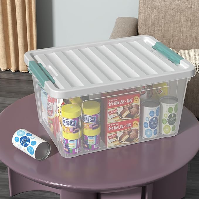Readsky 36 Quart Plastic Clear Storage Bins with Lids, Large Latch Boxes, 4-Pack