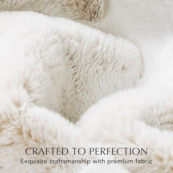 EVERGRACEHOME Ultra Soft Luxury Fluffy Mink Faux Fur Throw Blanket, Thick Warm Fall Winter Blankets for Bed, Couch, Cozy Plush Reversible Blanket for Chair, Sofa (Tipped Champagne Ivory, 60"x80")