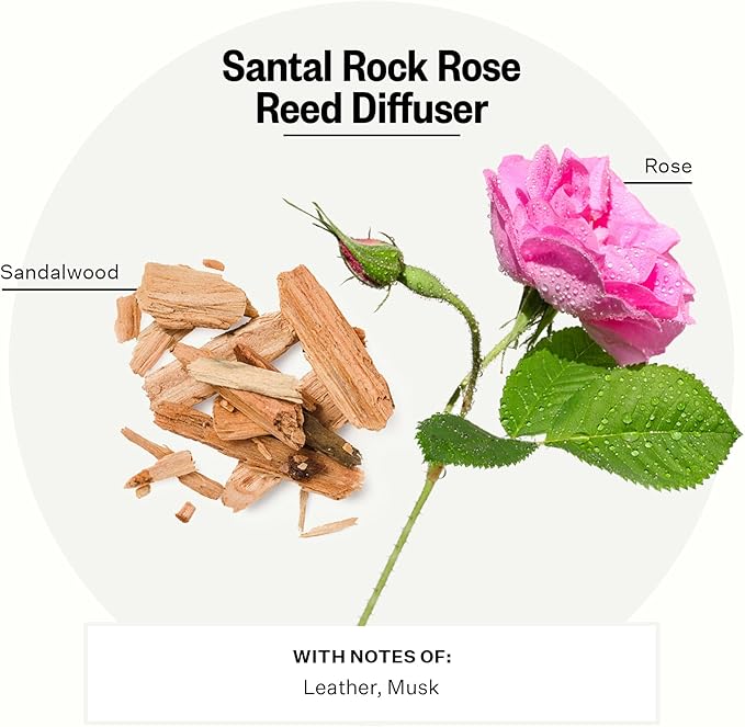 Apotheke Luxury Scented Reed Diffuser for Home, Santal Rock Rose - 6.7 Fl Oz Essential Oil Aromatherapy - 10 Rattan Scent Sticks Room Diffuser - Long-Lasting Fragrance for Bedroom, Home, Bathroom
