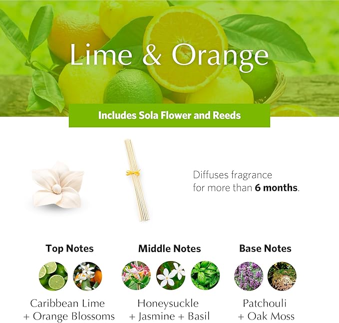 AGRARIA PetiteEssence Flower and Reed Diffuser Set, Hand Crafted Sola Flower Botanical Home Fragrance Set, Scented Oil Gift for All Occasions