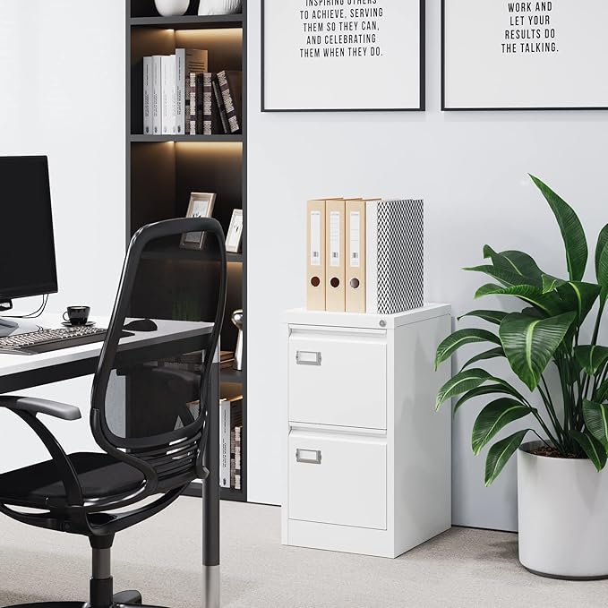 2 Drawer File Cabinet with Lock Metal Vertical Filing Storage Cabinet Office Home Steel Vertical File Cabinets for A4 Legal/Letter Size Narrow File Cabinet Locked,Assembly Required