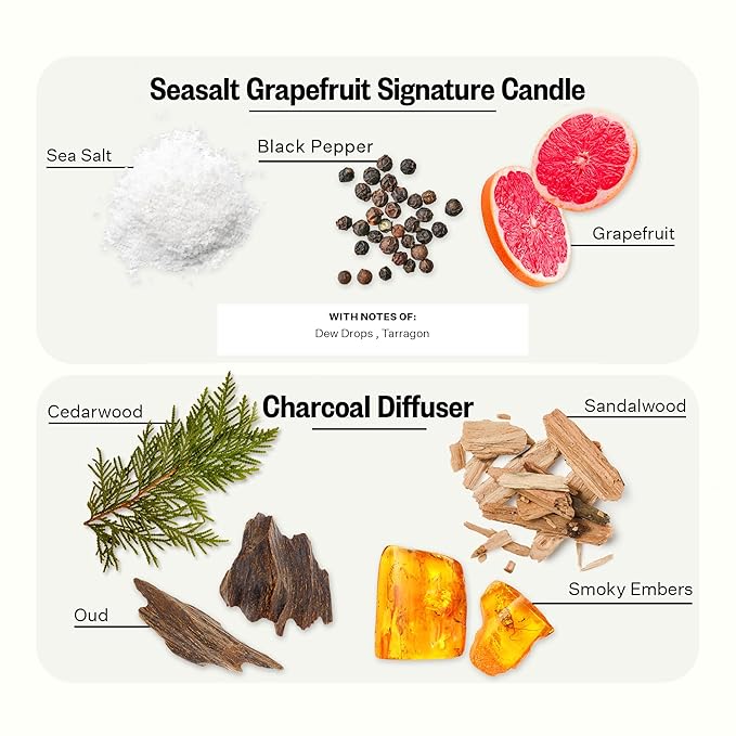 Apotheke Scented Candles, Charcoal Oil Reed Diffuser, Canvas Body Lotion & White Vetiver Bar Soap Set