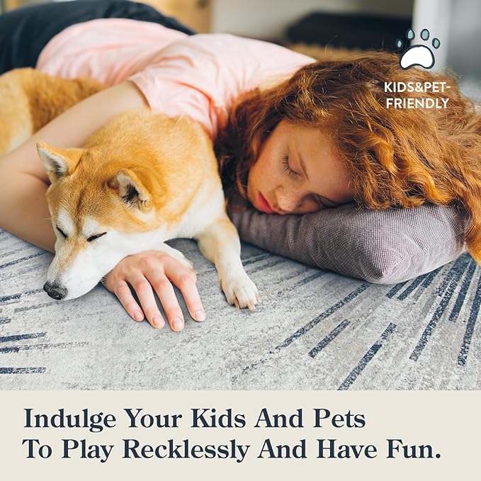 Lahome Modern Machine Washable 6 x 9 Area Rug, Non-Slip Ultra-Thin Big Rugs for Living Room Throw Soft Large Carpet for Bedroom, Abstract Print Indoor Carpet for Dining Room Office (Blue/Gray, 6'x9')