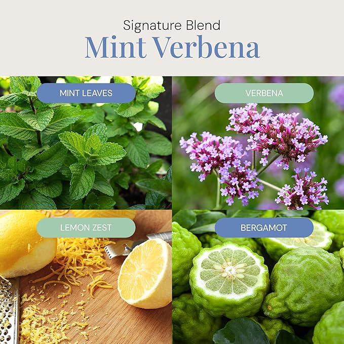 Mint Verbena Aroma Oil, Essential Oils Blend for Diffusers & Scent Machines, Citrus Charm & Minty Undertones, Aromatherapy, Cold Air Diffuser Compatible, 300 mL