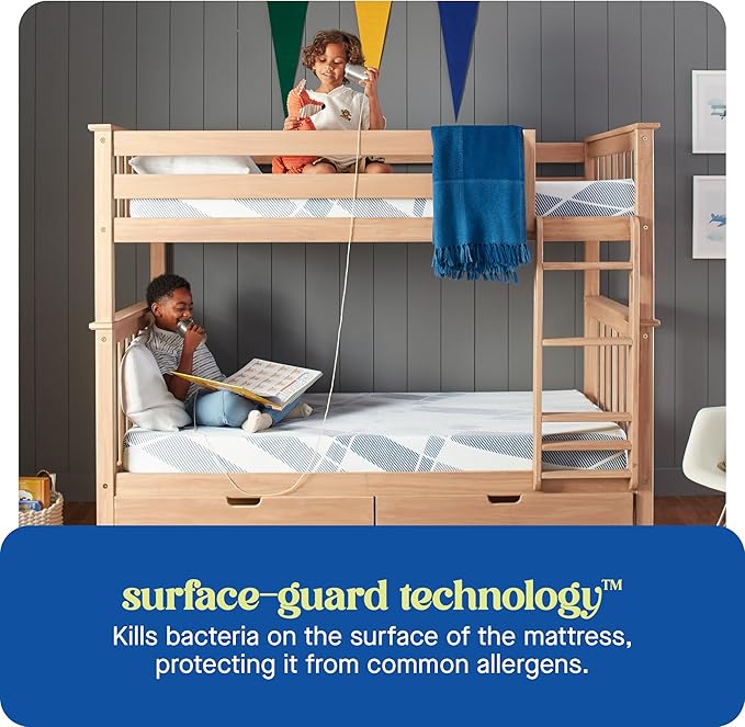 Sealy Dreamlife 8” Foam Mattress-in-a-Box, Queen, SealyComfort Gel Memory Foam, Surface-Guard Technology, Breathable Comfort