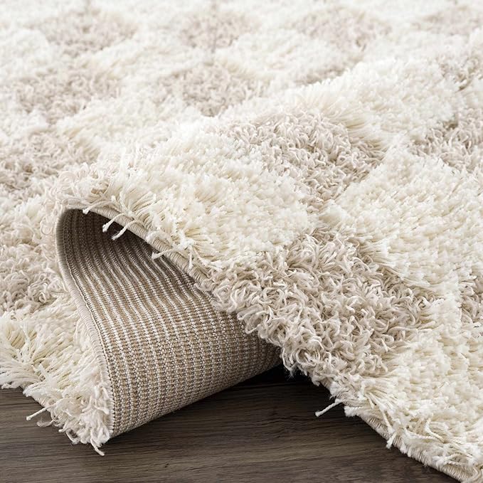 Hauteloom Atira Hallway, Kitchen Runner Rug - Contemporary - Plush Pile - Cream, Light Beige, Light Brown - 2'7" x 12'