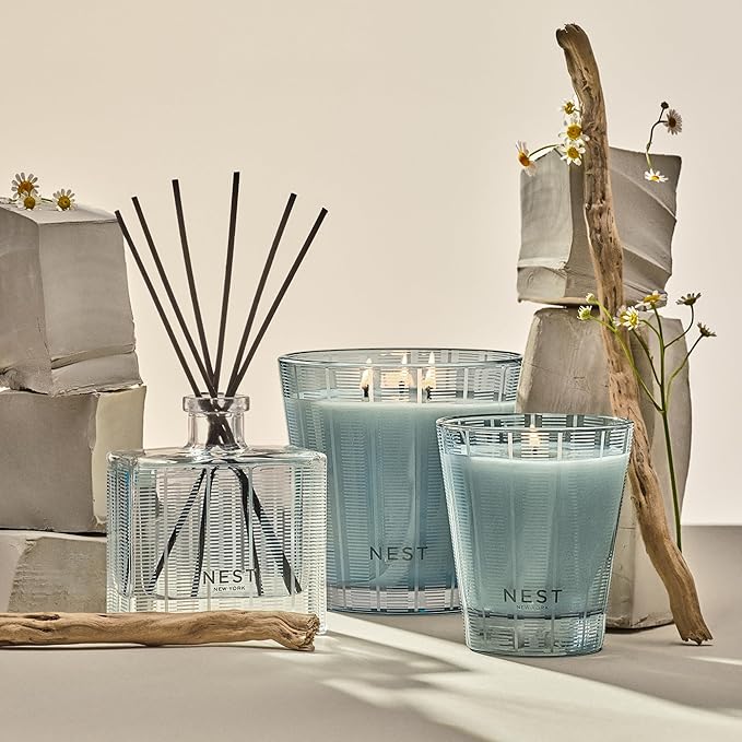 NEST New York Reed Diffuser, Driftwood & Chamomile - 5.9 fl oz - Fragrance for Up to 90 Days - Reusable, Refillable Glass Holder - Includes 8 All-Natural Reed Sticks - Flame Free