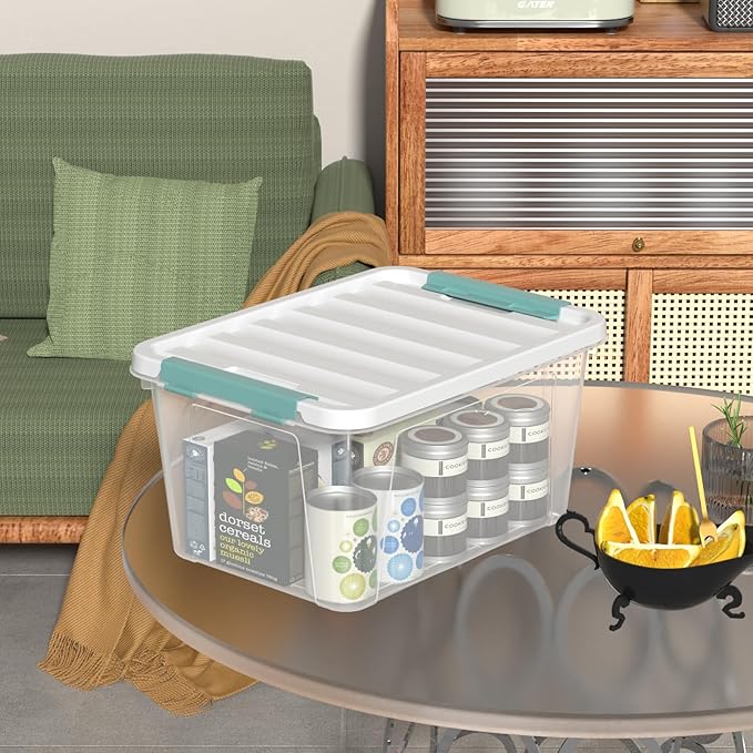 Readsky 4 Packs Clear Storage Latch Boxes, Plastics Storage Bins, 20 Quart