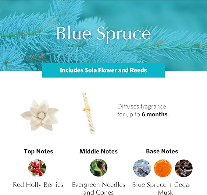 Agraria PetiteEssence Flower and Reed Diffuser Set, 1.7 oz, Handcrafted Sola Flower Botanical Scent Diffuser for Home, Scented Oil Gift Set