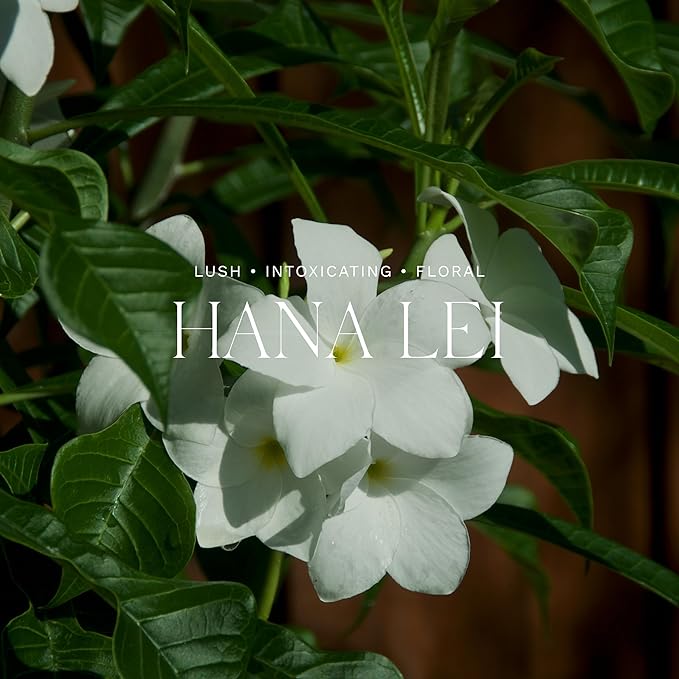 Antica Farmacista Home Ambiance Diffuser, Hana Lei, 16.9 Fl Oz