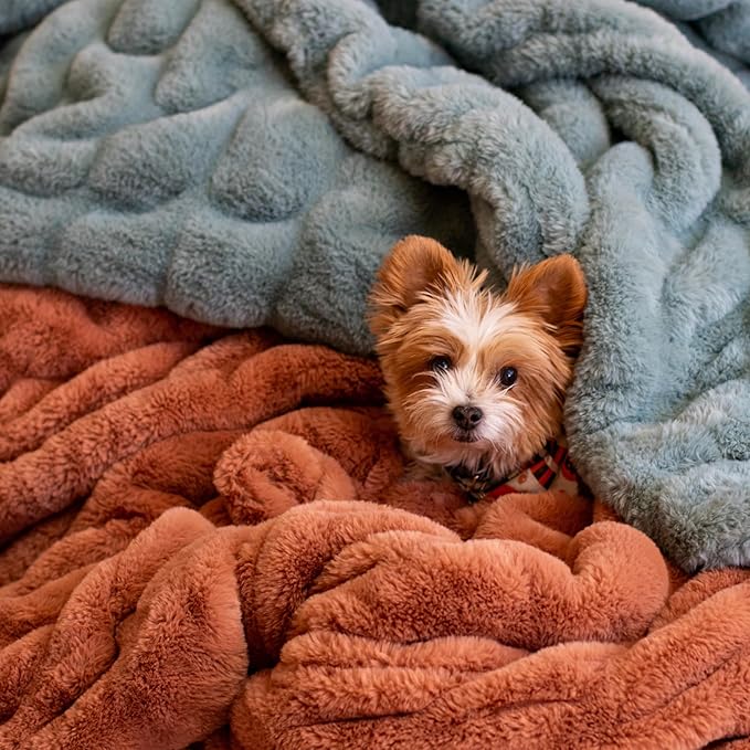 Minky Designs Copper Minky Blanket – Ultra Soft Faux Fur Throw Blanket for Couch, Bed & Home – Fluffy, Warm & Luxurious – Chic Collection (X-Large, 60x84)