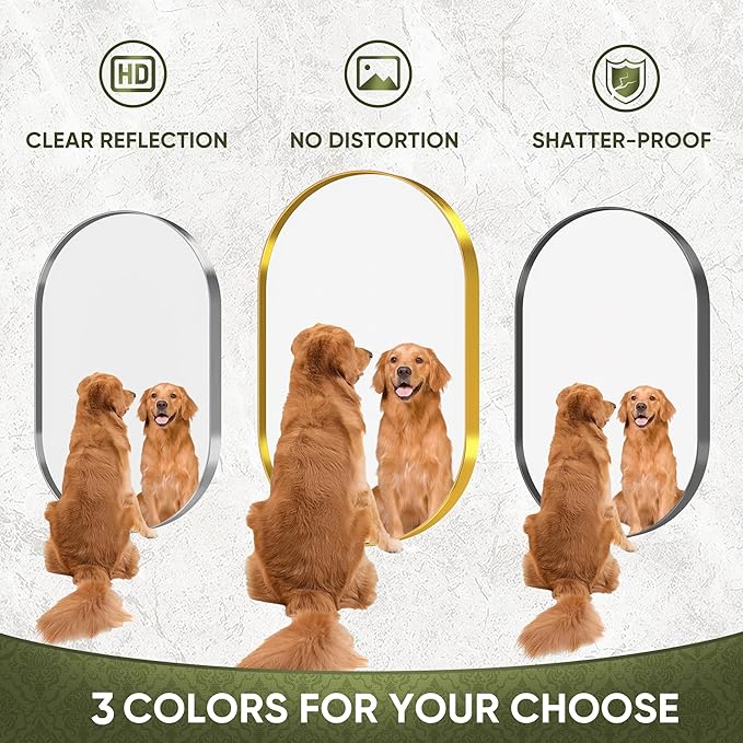 Suidia 22" x 30" Bathroom Mirror, Bathroom Vanity Mirror Metal Framed, Wall-Mounted Mirrors for Bedroom, Living Room, Entryway, Hallway, Gold, Oval Style