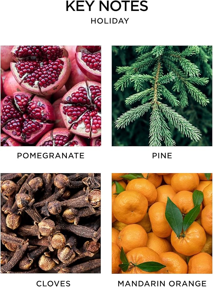 NEST New York Scented Classic Candle, Holiday - 8.1 oz - Up to 60-Hour Burn Time - Reusable Glass Vessel