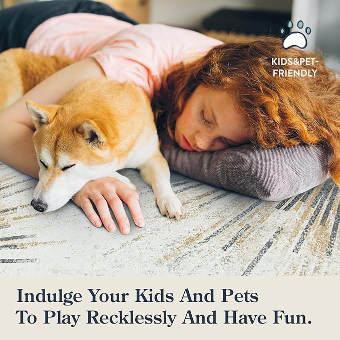 Lahome Modern Rugs for Living Room 5x7 Rug - Machine Washable Rugs Throw Soft Bedroom Area Rug Ultra-Thin Non-Slip Dining Room Rug, Abstract Print Carpet Rug for Office Kitchen (Gold/Gray, 5'x7')