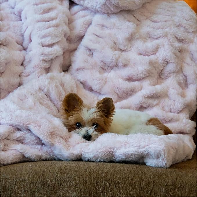 Minky Designs Blossom Pink Minky Blanket – Ultra Soft Faux Fur Throw Blanket for Couch, Bed & Home – Fluffy, Warm & Luxurious – Chic Collection (Large, 60x72)