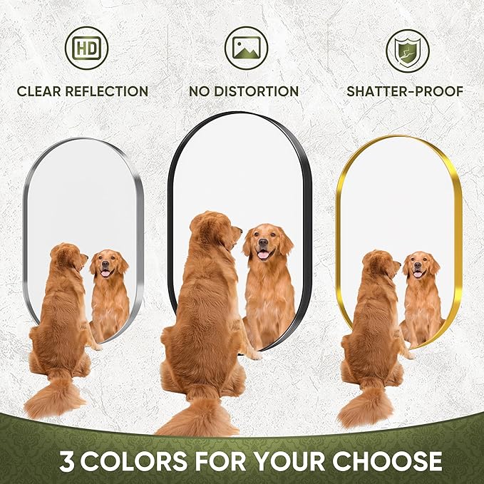 Suidia 26" x 38" Bathroom Mirror, Bathroom Vanity Mirror Metal Framed, Wall-Mounted Mirrors for Bedroom, Living Room, Entryway, Hallway, Black, Oval Style