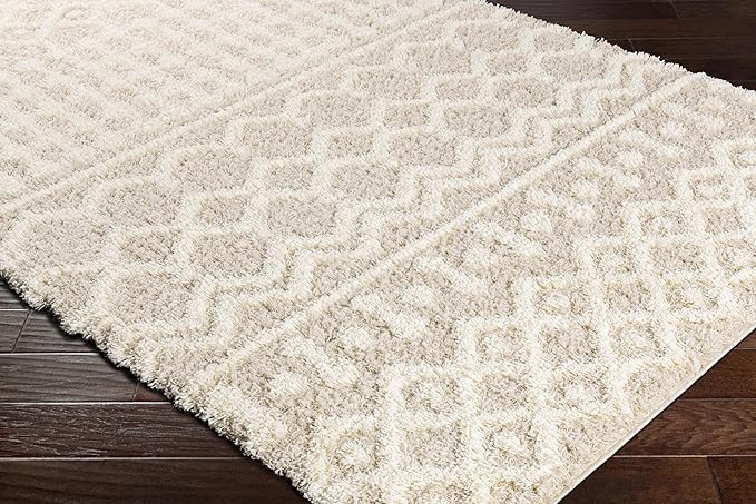 Livabliss Hapsburg Moroccan Shag Runner Area Rug,2'7" x 20', Beige