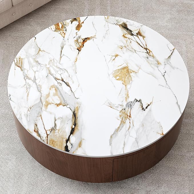 SSLine Modern Round Drum Coffee Table Luxury Sintered Stone Top Coffee Table with Storage Drawers,Walnut Wood Frame and Brushed Stainless Steel Legs,Marble Grain Center Table for Living Room