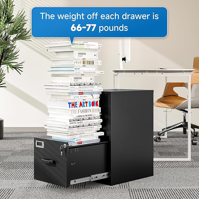 2 Drawer File Cabinet with Lock Vertical Filing Storage Cabinet Office Home Steel Vertical File Cabinets for Letter Size File Cabinet Locked,Assembly Required